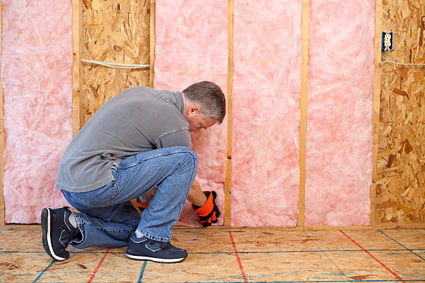 Best Insulation Installation Services in Mammoth Lakes, CA
